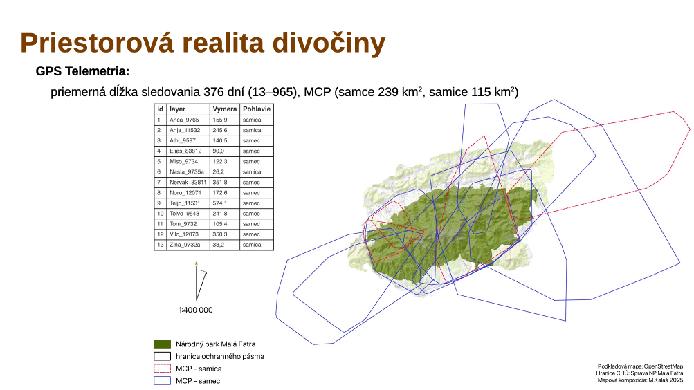 Reálne prelínanie domovských okrskov niekoľkých medveďov v Malej Fatre – príklad pre koncept: ekológia bez emócií.